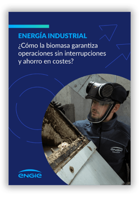 Biomasa - descargable- proyecto