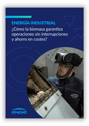 Biomasa - SM