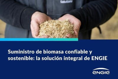 Repositorio webinar Gestión biomasa