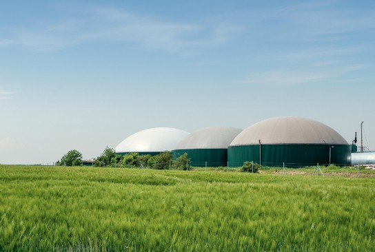 imagen_programa_webinar_descarbonizacion_gases_renovables